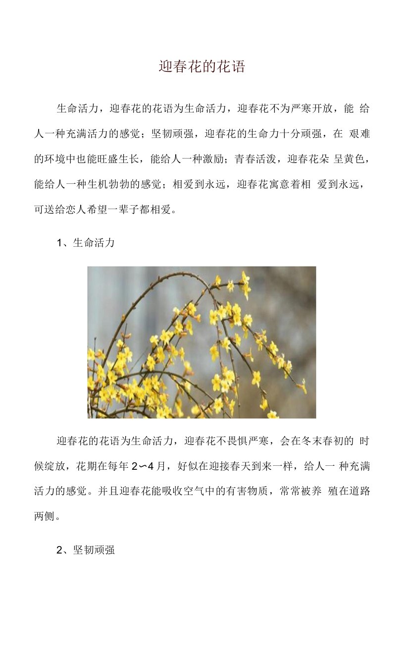 迎春花的花语