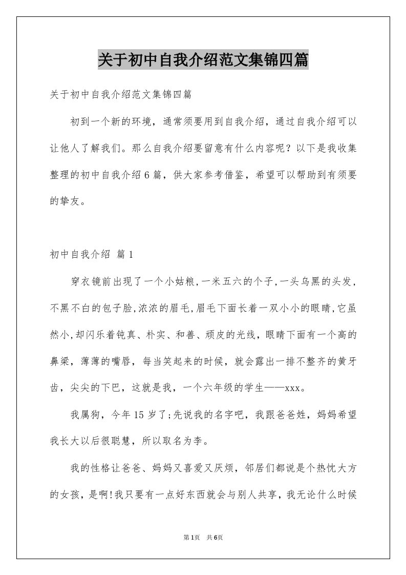 关于初中自我介绍范文集锦四篇