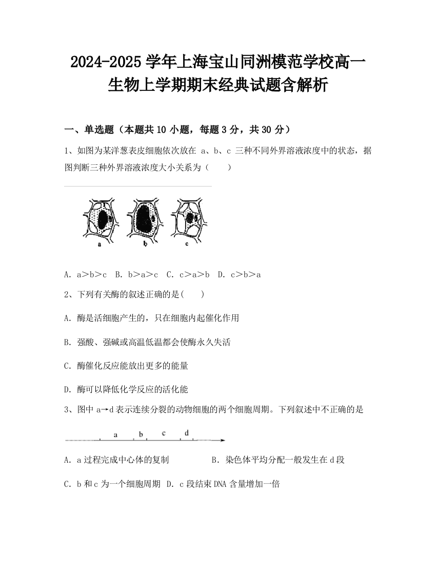 2024-2025学年上海宝山同洲模范学校高一生物上学期期末经典试题含解析