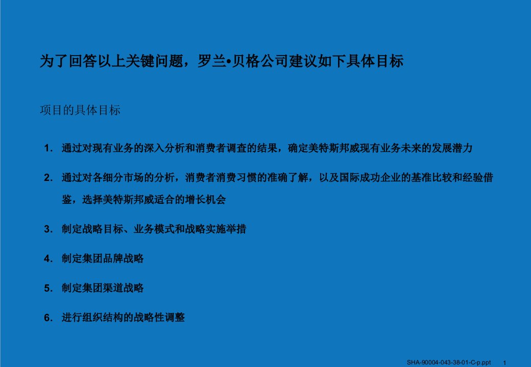 战略管理-罗兰贝格美特斯邦威战略项目方案