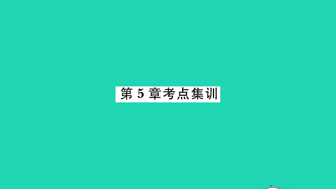 2021八年级数学上册第5章平面直角坐标系考点集训习题课件新版苏科版