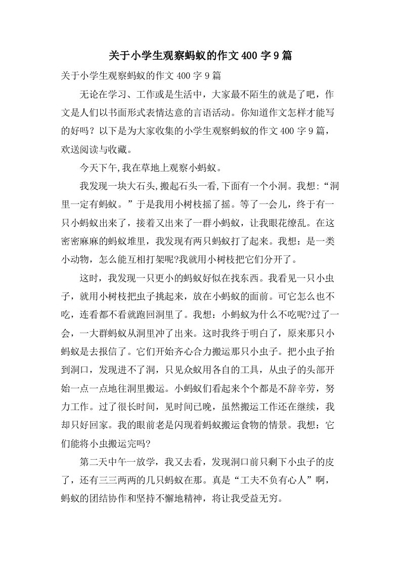 关于小学生观察蚂蚁的作文400字9篇