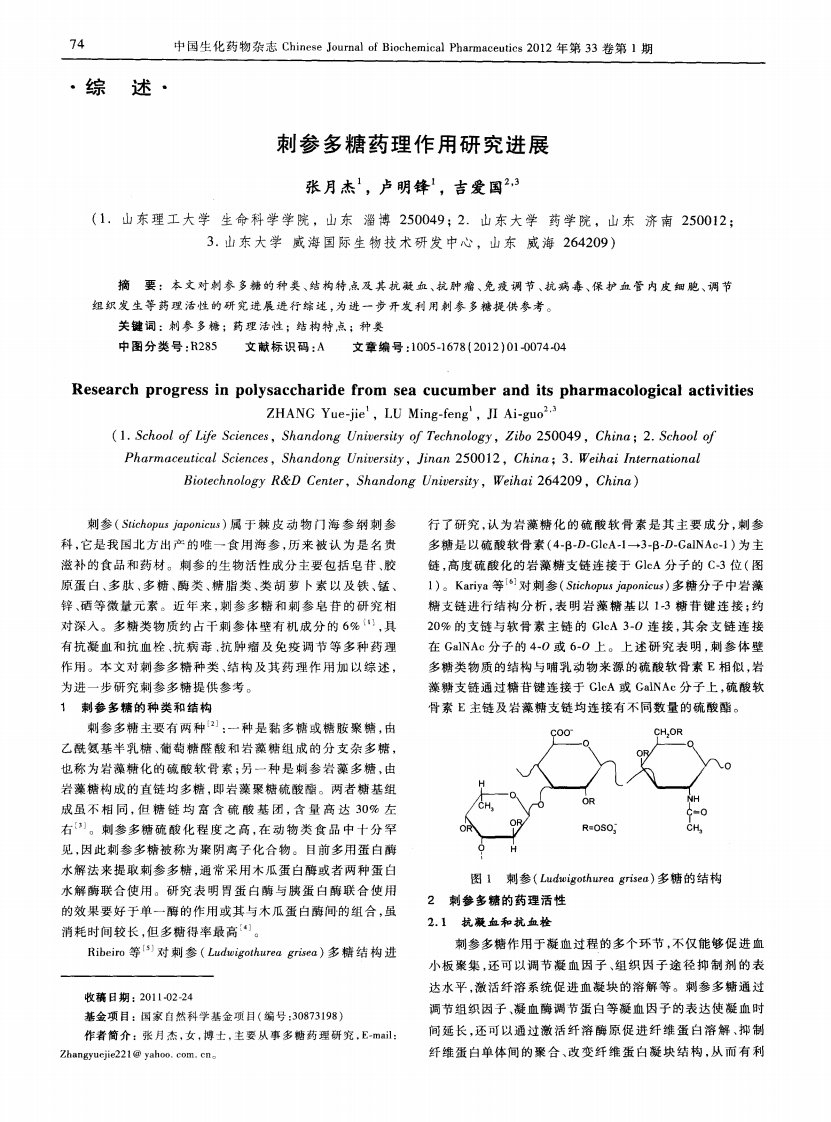 刺参多糖药理作用研究进展