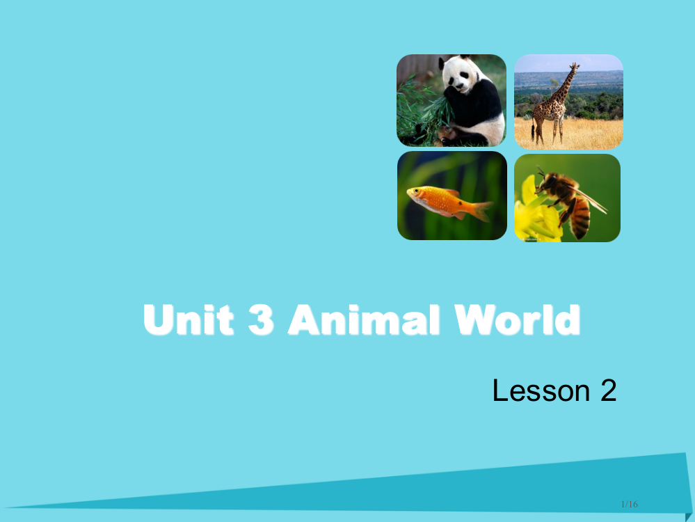 六年级英语上册-Unit-3-Animal-WorldLesson-2省公开课一等奖新名师优质课获奖