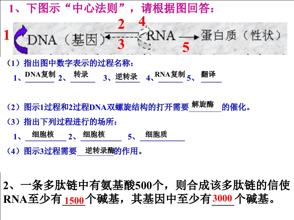 理科基因突变与基因重组