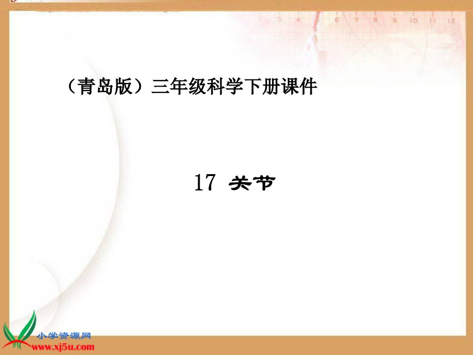 小学三年级科学下册课件关节3上课讲义