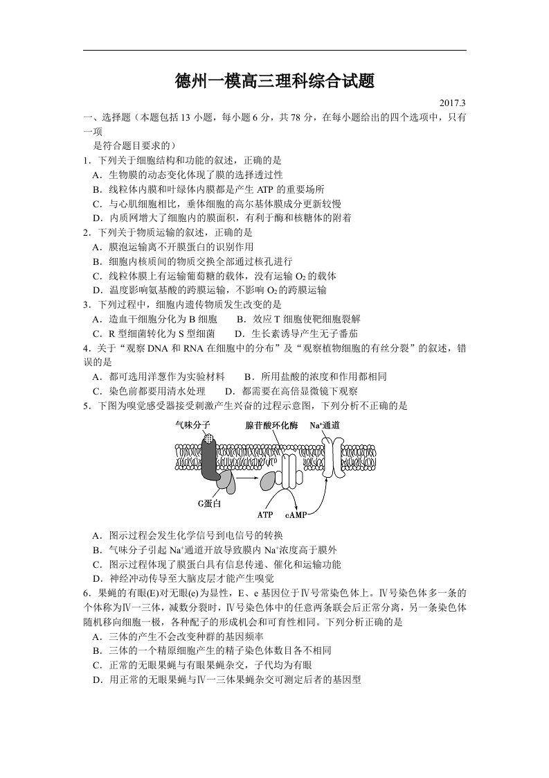 山东省德州市2017届高三第一次模拟考试生物试题