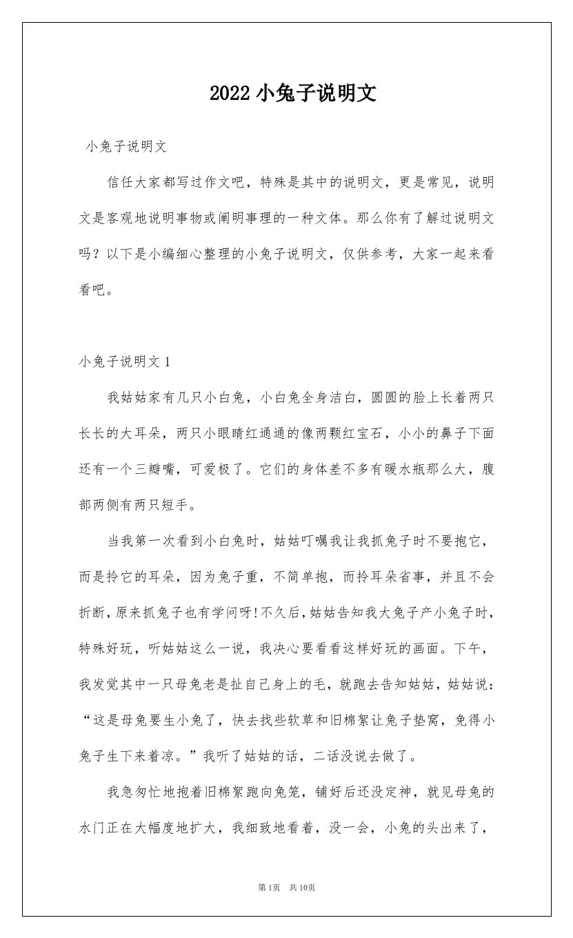 2022小兔子说明文