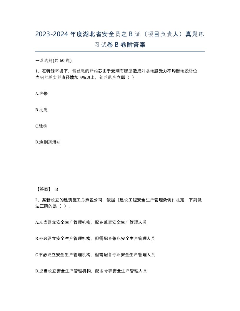 2023-2024年度湖北省安全员之B证项目负责人真题练习试卷B卷附答案