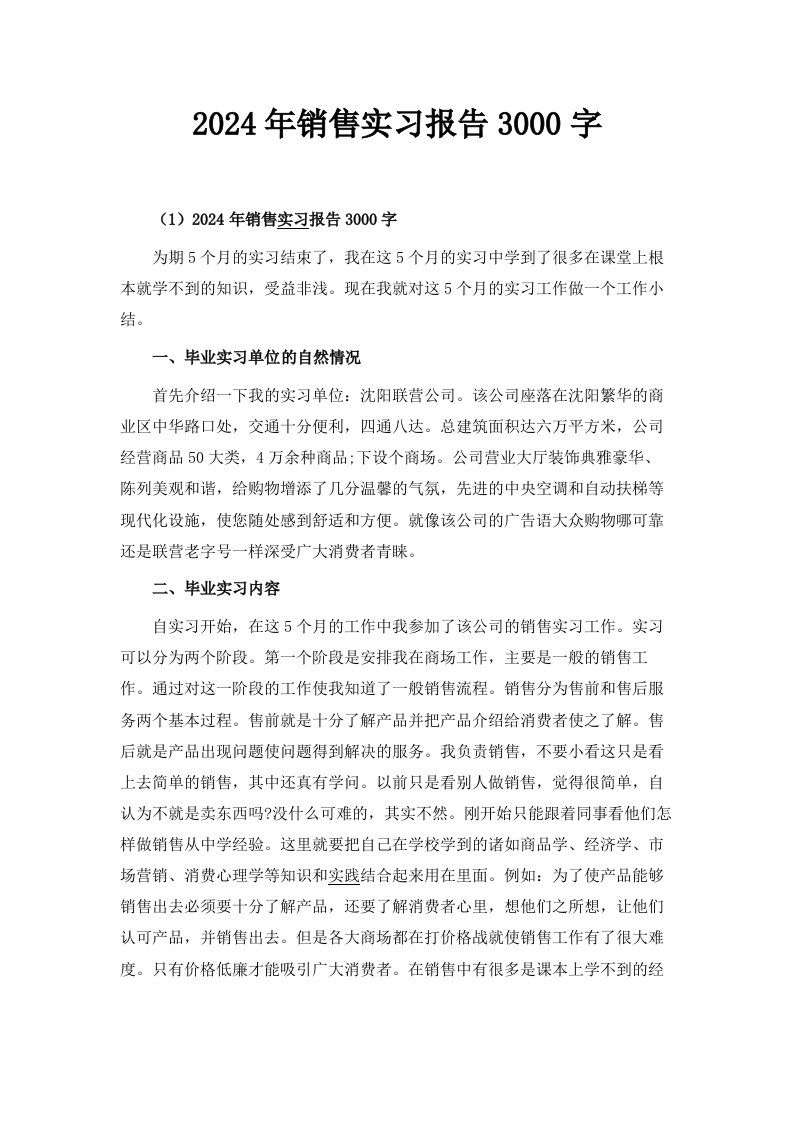 2024年销售实习报告3000字