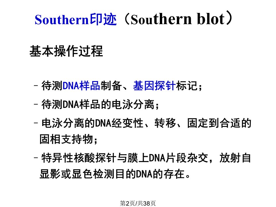 核酸印迹与分子杂交