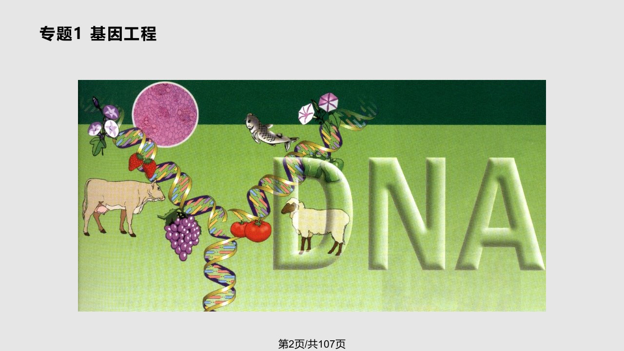 浙科生物选修基因工程