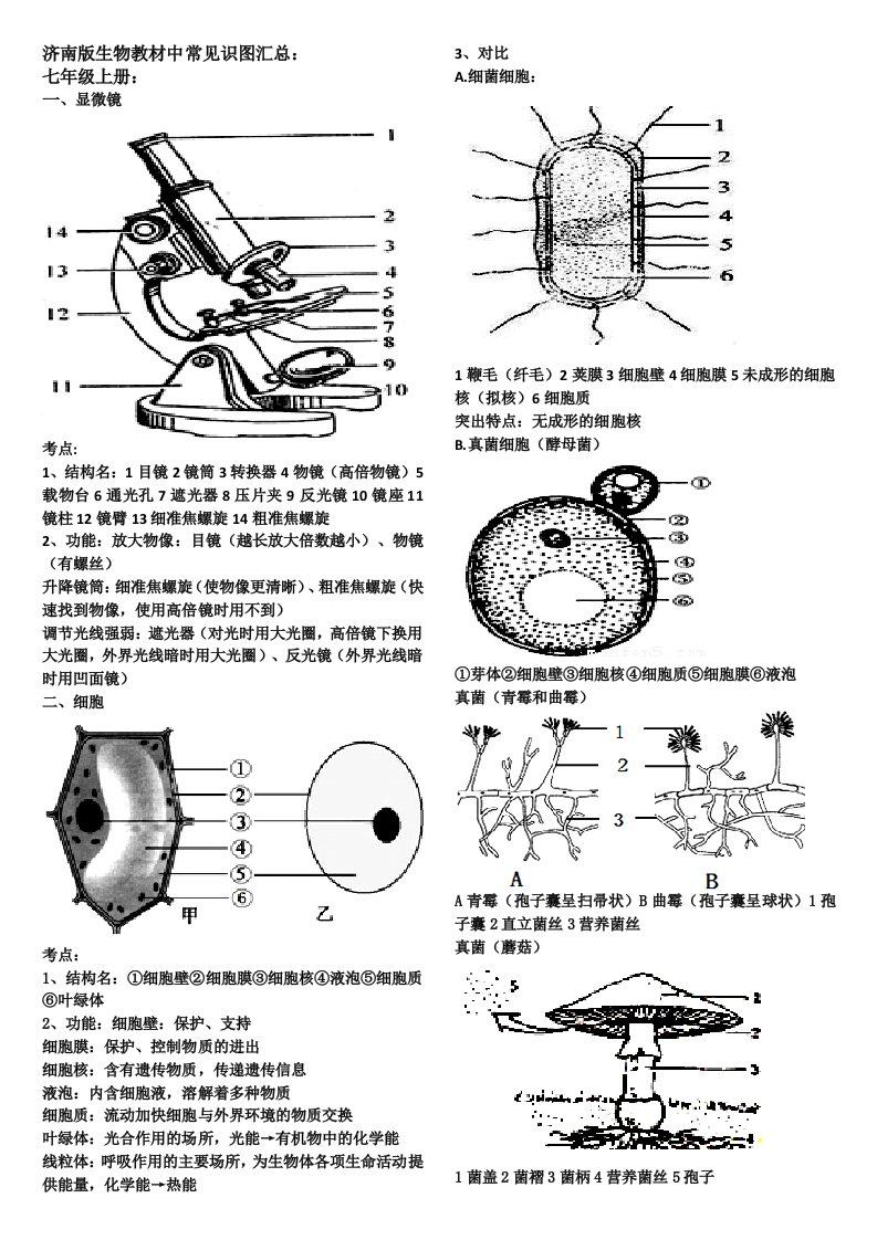 济南版生物教材中常见识图汇总