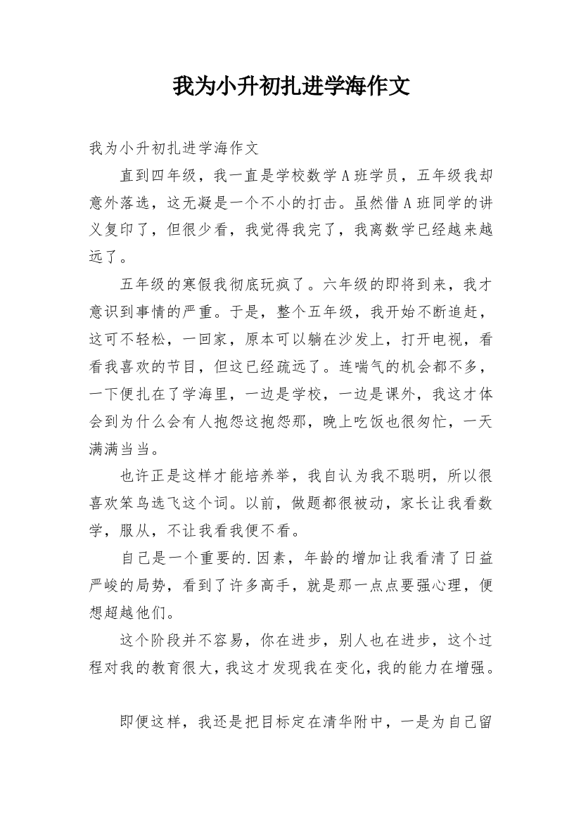 我为小升初扎进学海作文