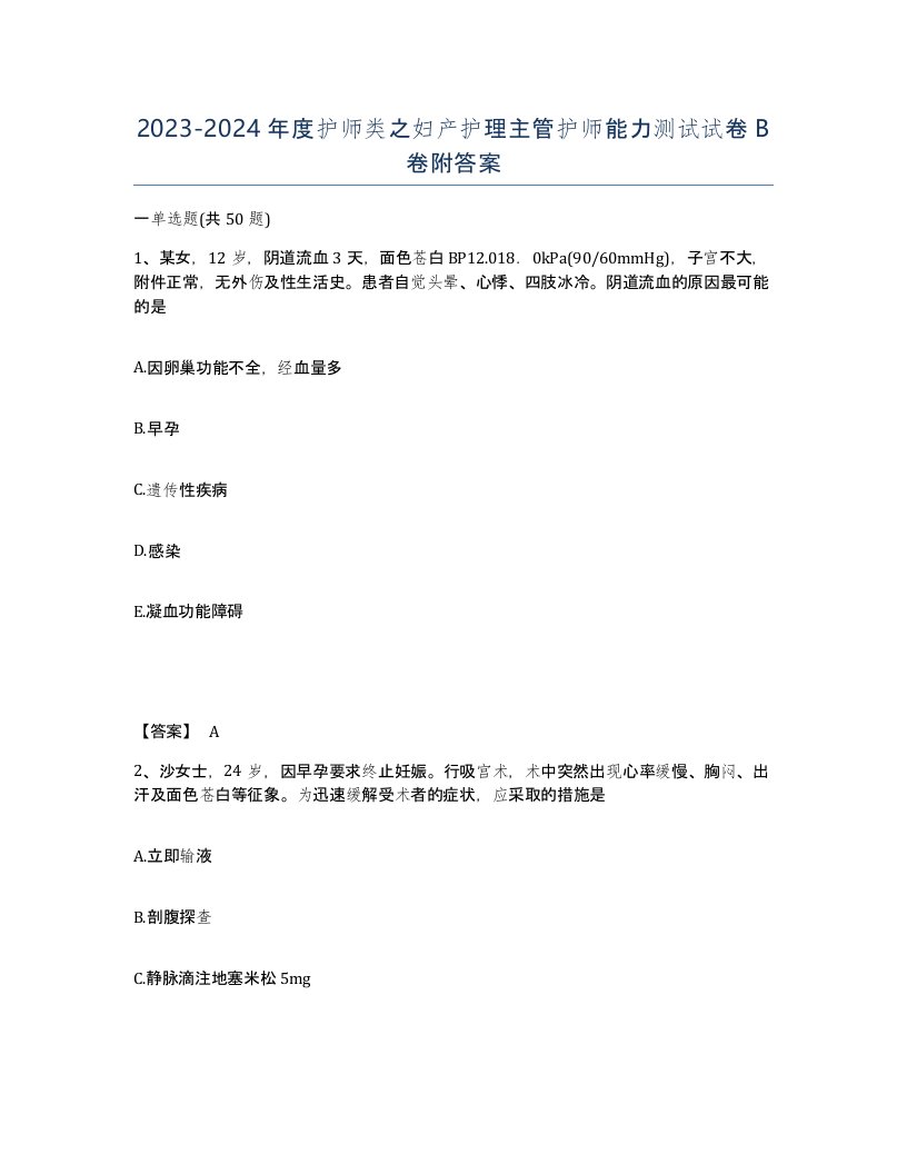 20232024年度护师类之妇产护理主管护师能力测试试卷B卷附答案