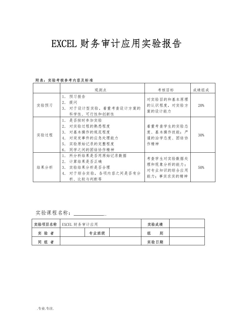 EXCEL财务审计应用实验报告