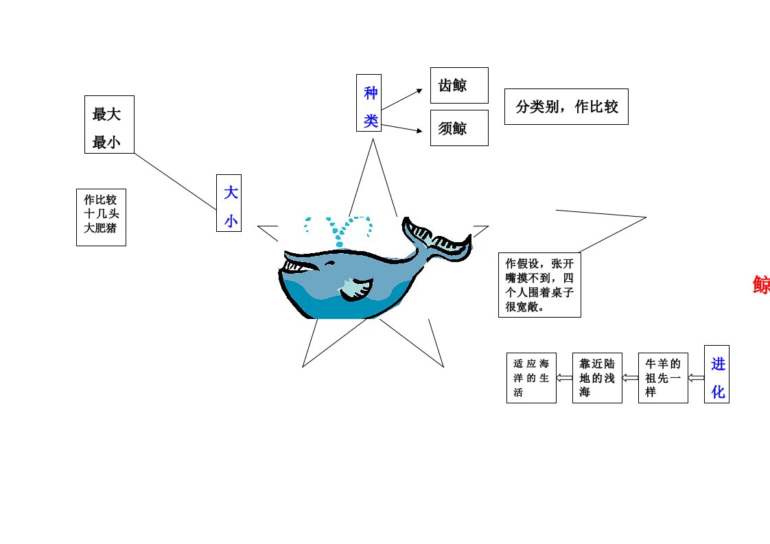 鲸思维导图1