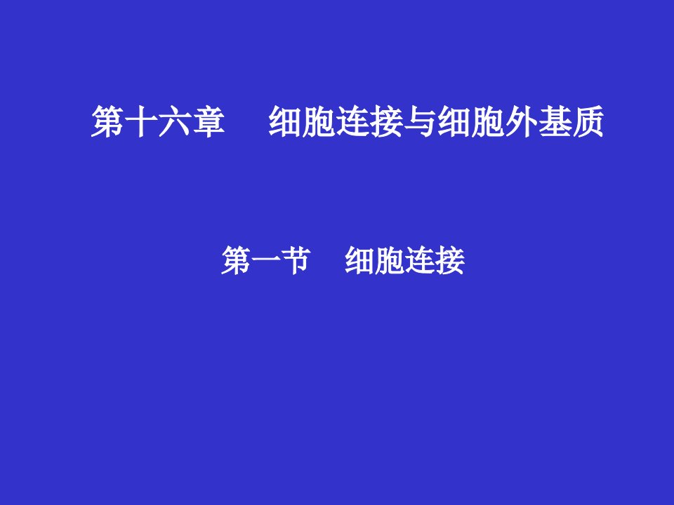 R第章细胞连接与细胞外基质