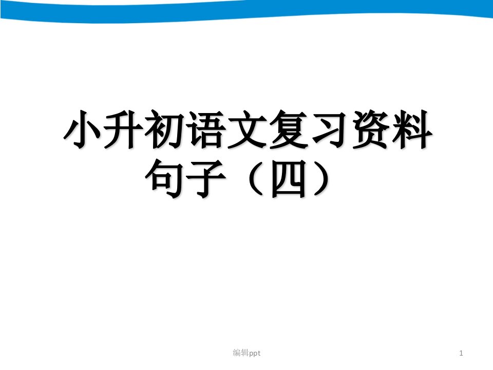 小升初语文专项复习四句子