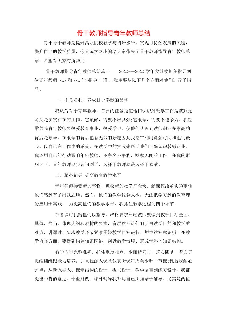 骨干教师指导青年教师总结