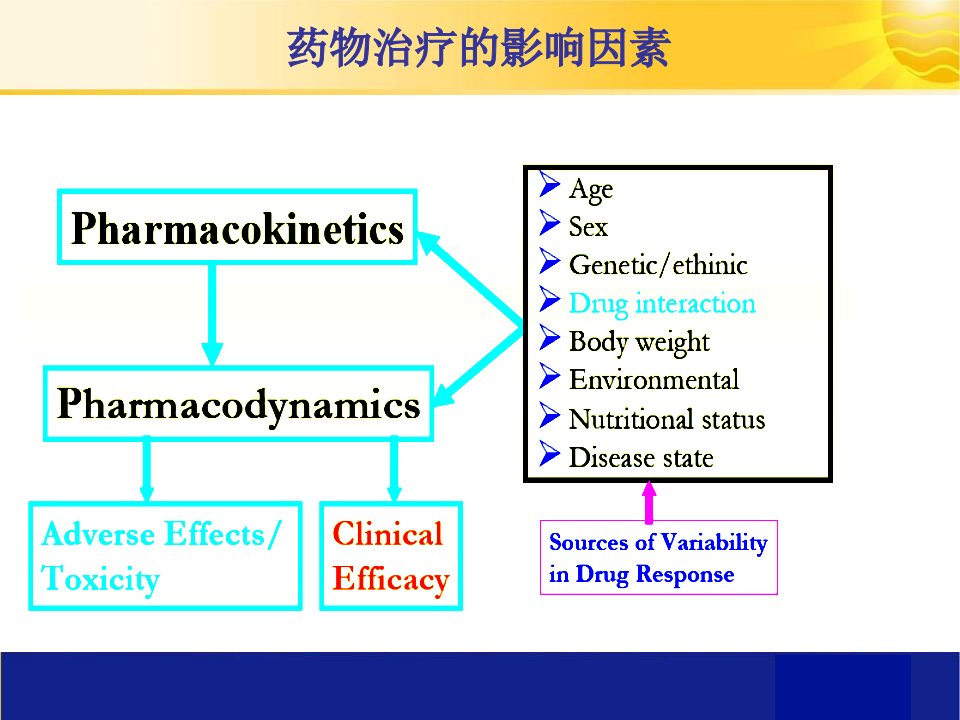 抗抑郁药物的相互作用ppt课件