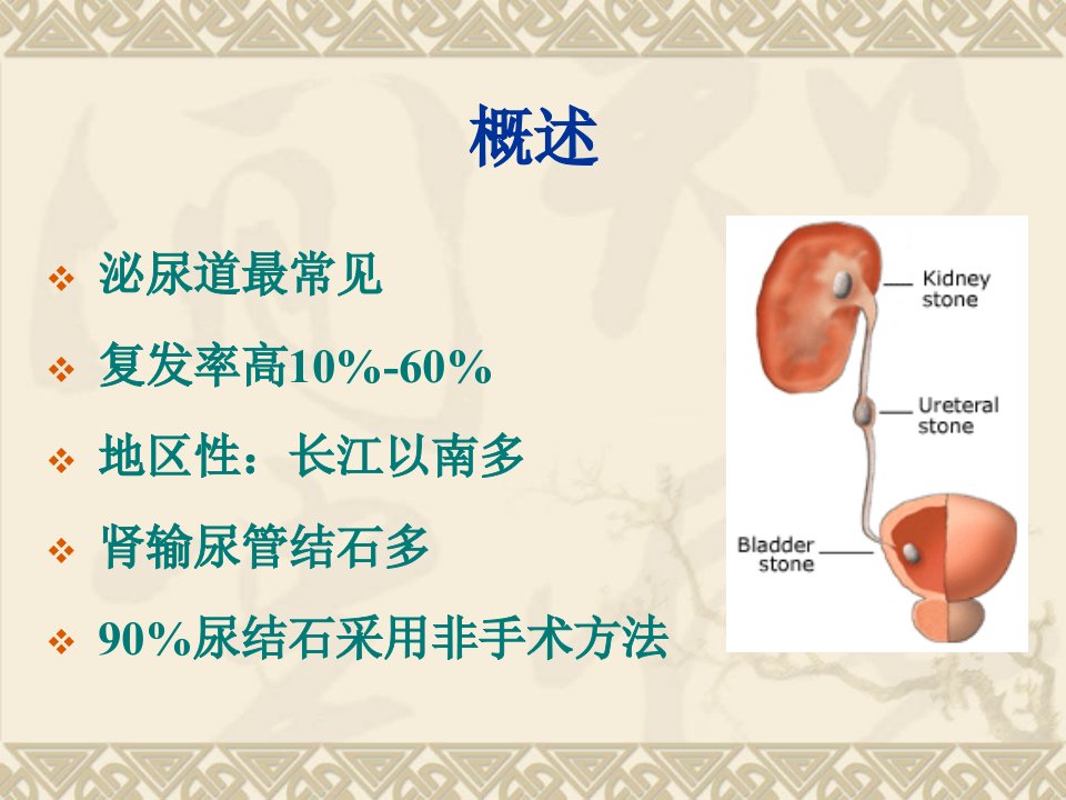 泌尿系结石病人的护理1课件