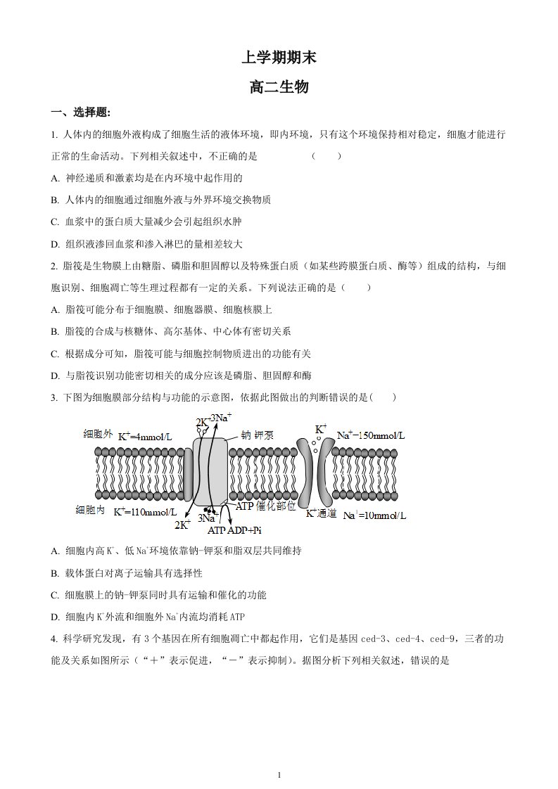 高二上学期期末人教版生物试题3