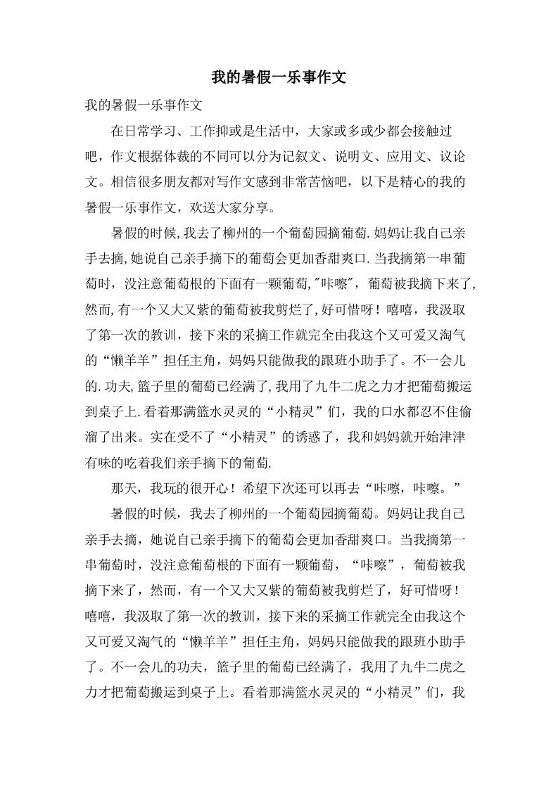 我的暑假一乐事作文