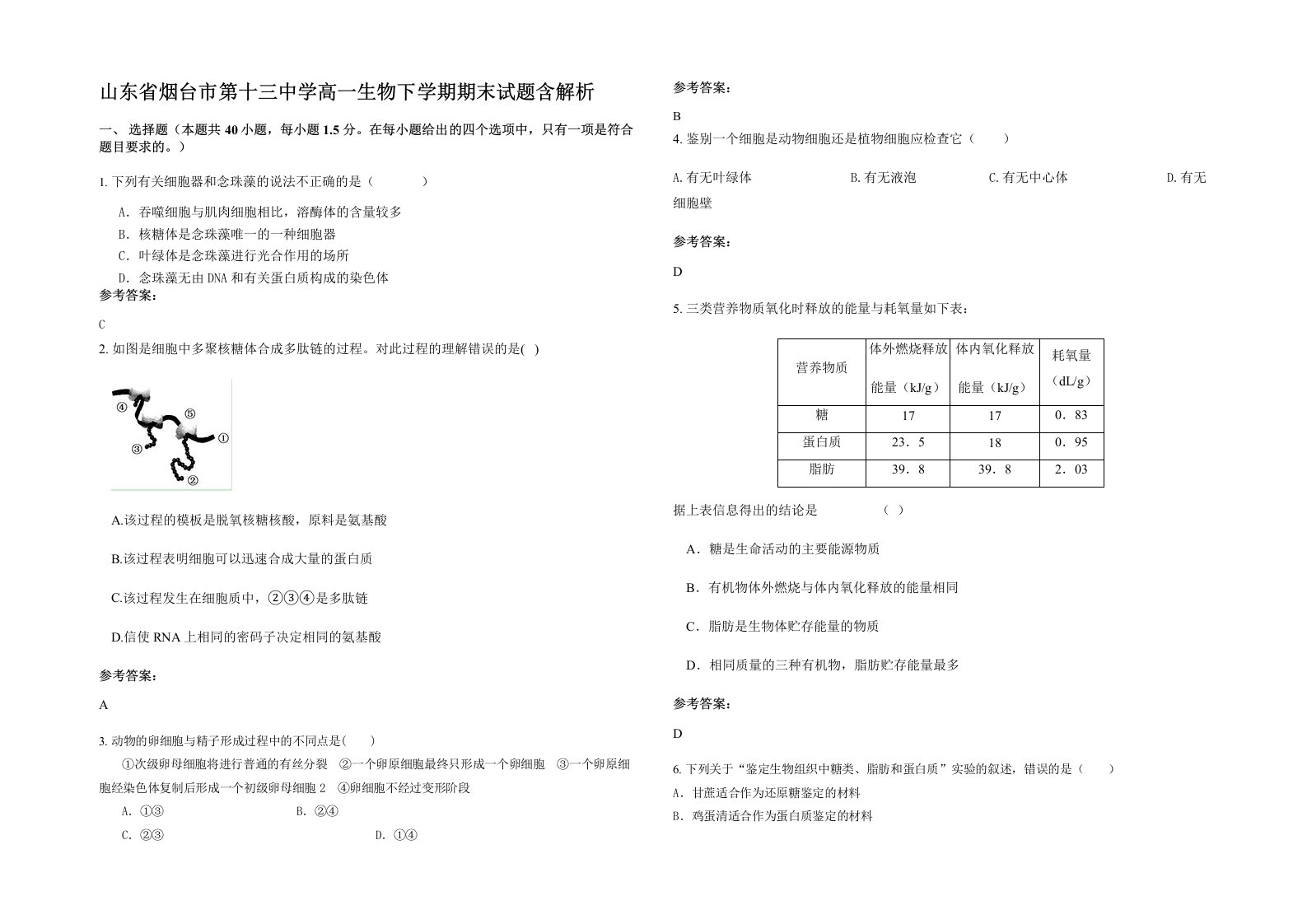 山东省烟台市第十三中学高一生物下学期期末试题含解析