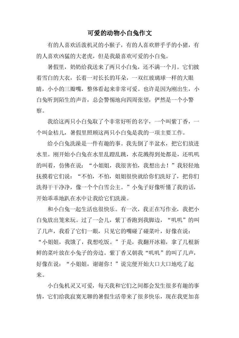 可爱的动物小白兔作文