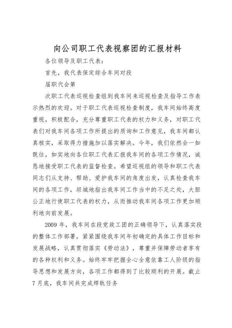 2022向公司职工代表视察团的汇报材料