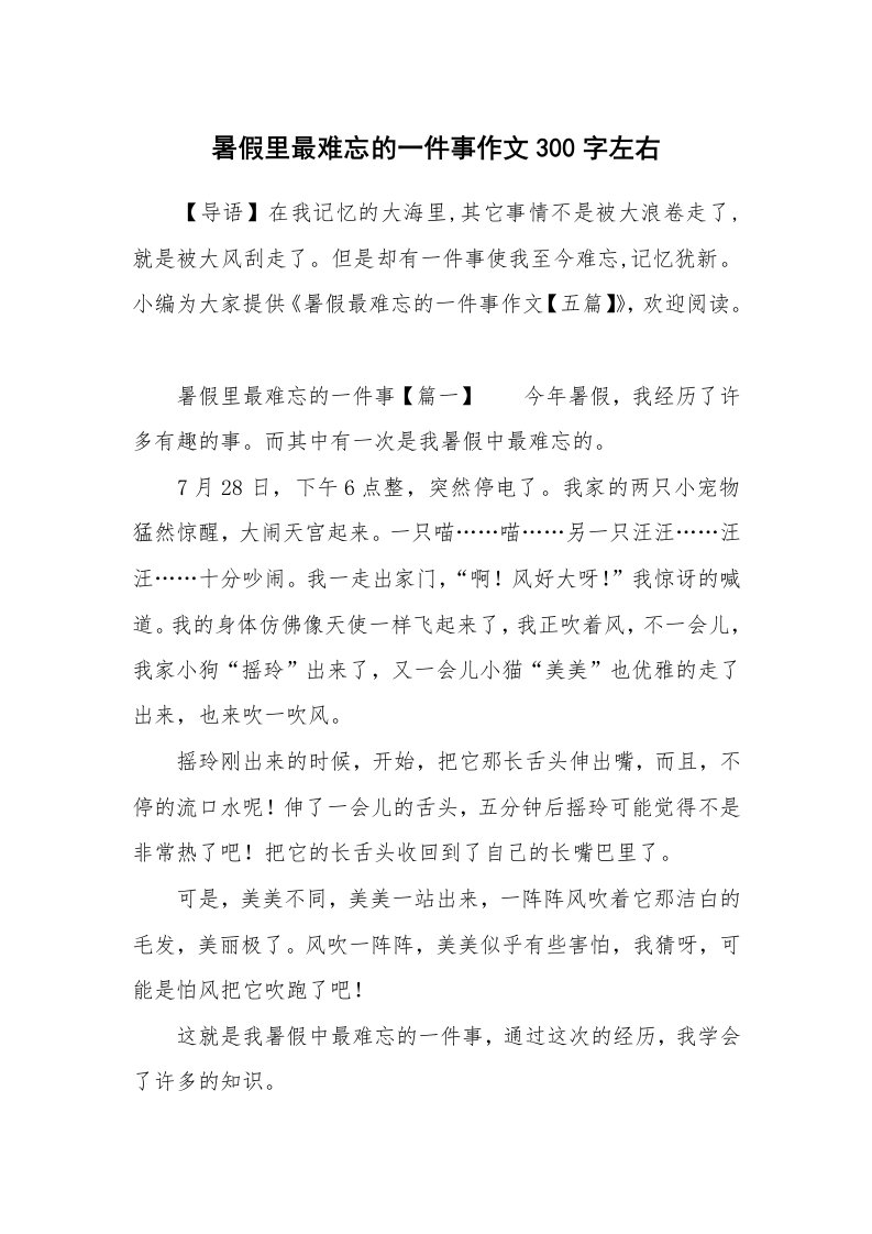 暑假里最难忘的一件事作文300字左右