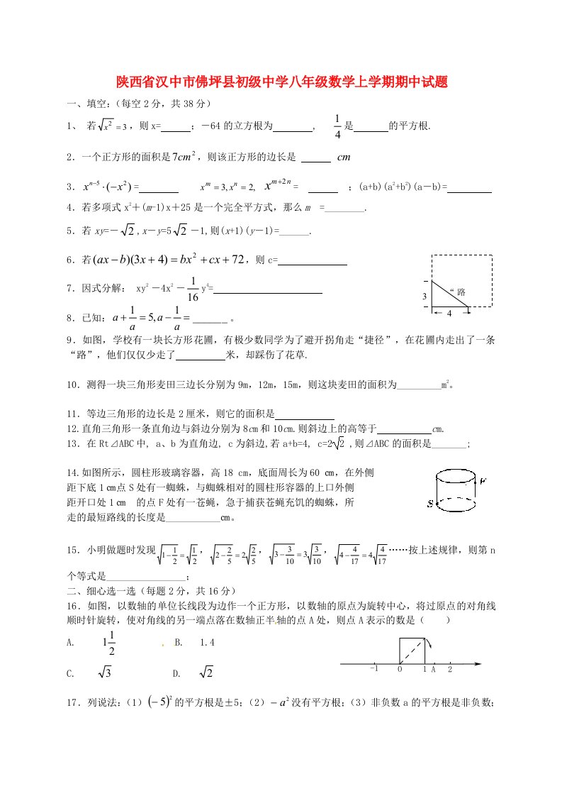 陕西省汉中市佛坪县初级中学八级数学上学期期中试题