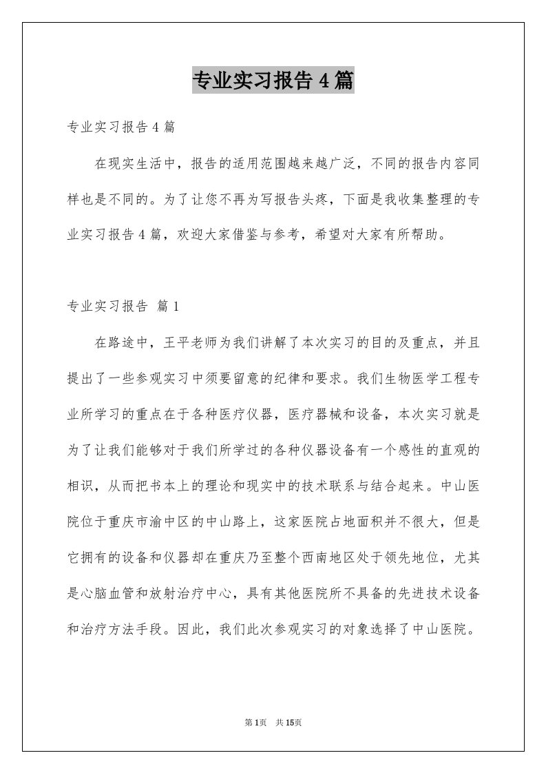 专业实习报告4篇汇编