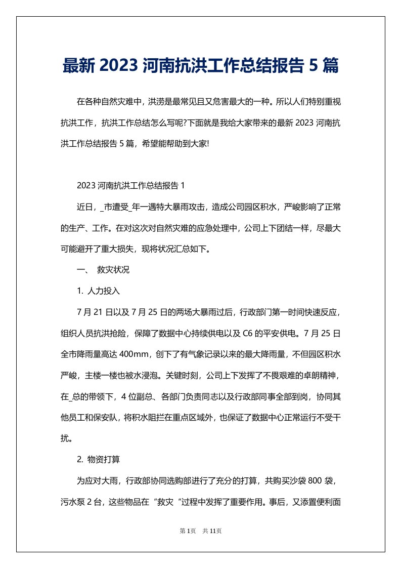 最新2023河南抗洪工作总结报告5篇