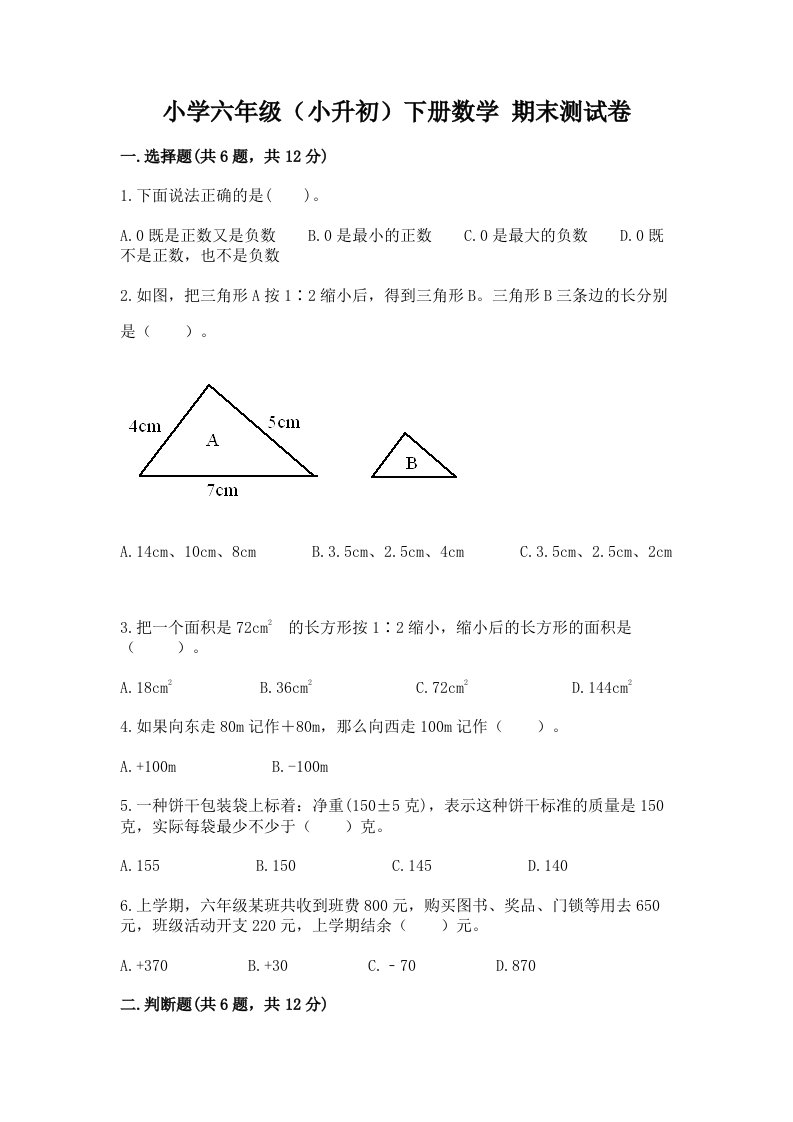 小学六年级（小升初）下册数学