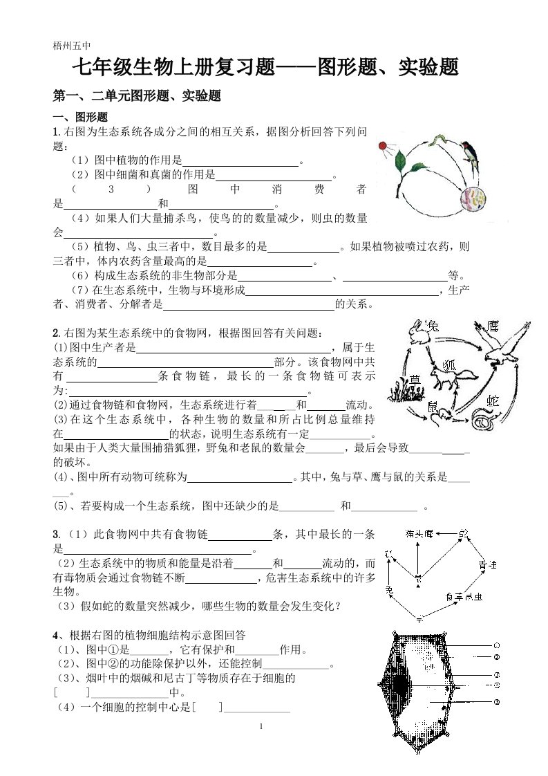 七年级生物上册复习题——图形题、实验题