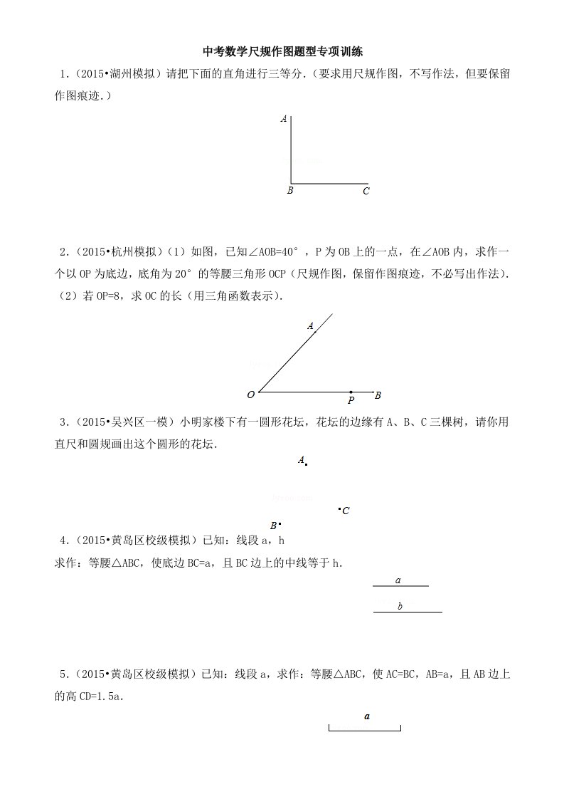 中考数学专项训练—尺规作图