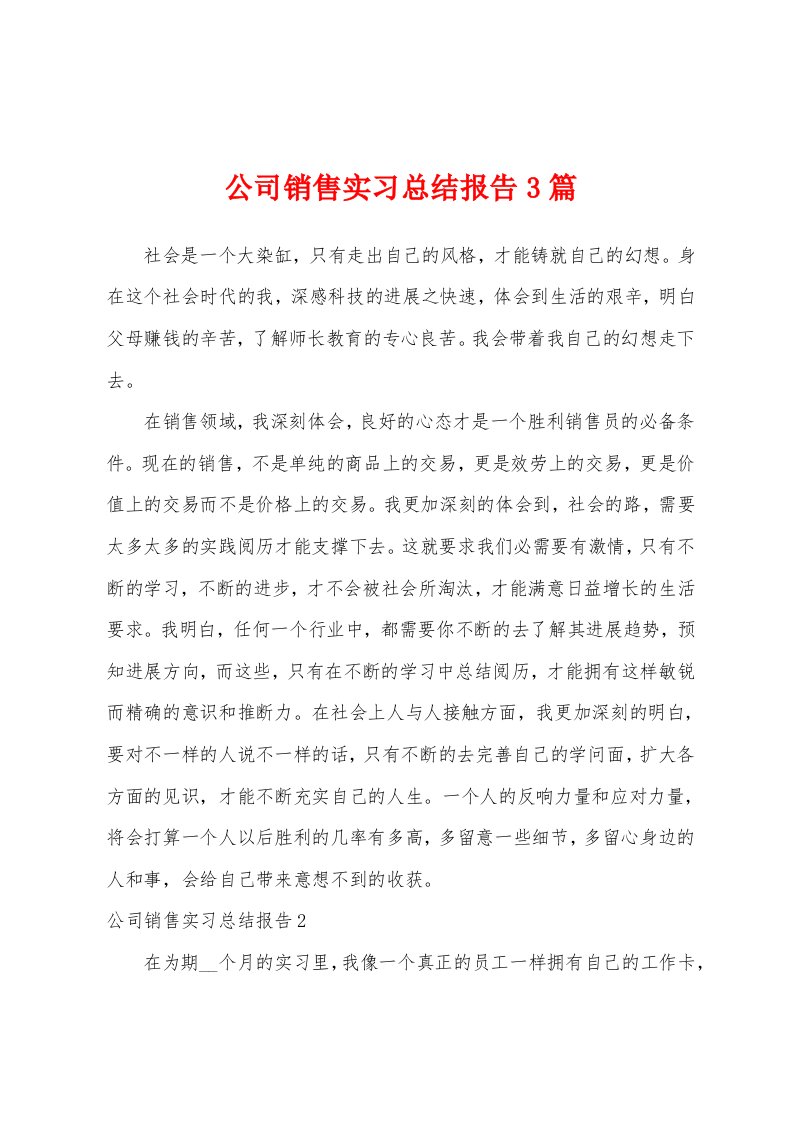 公司销售实习总结报告