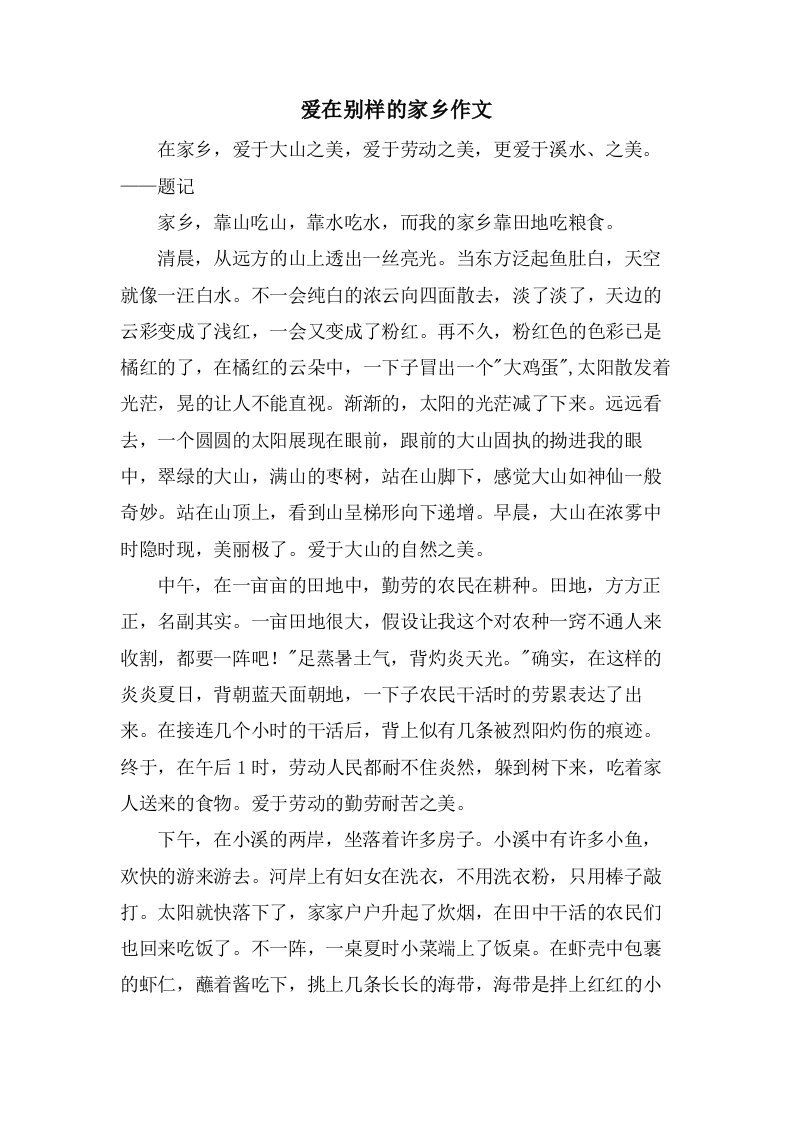 爱在别样的家乡作文