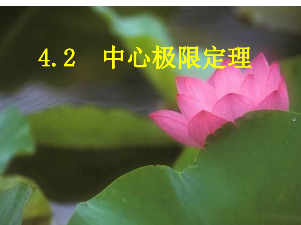 概率4.2