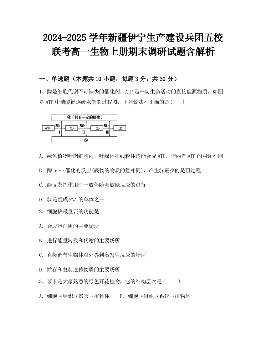 2024-2025学年新疆伊宁生产建设兵团五校联考高一生物上册期末调研试题含解析