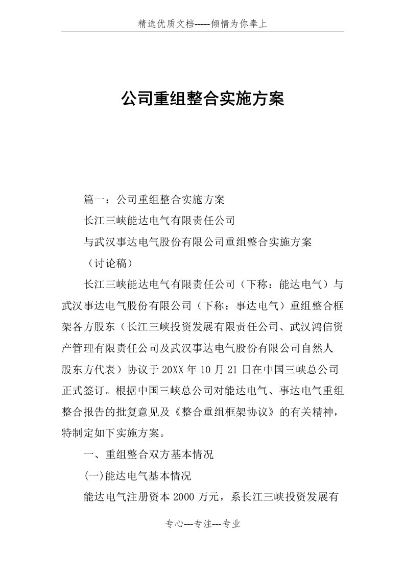 公司重组整合实施方案(共19页)