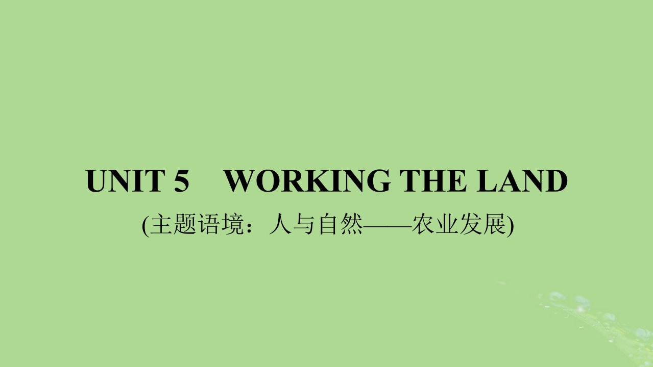 2025版高考英语一轮总复习选择性必修第一册Unit5WorkingtheLand课件