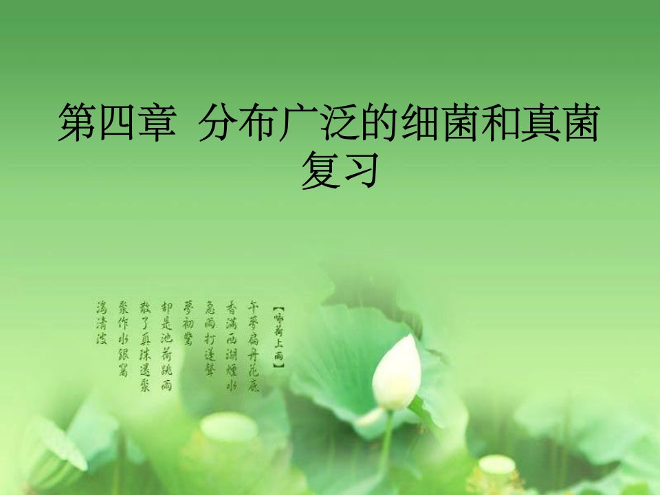 《细菌和真菌复习》