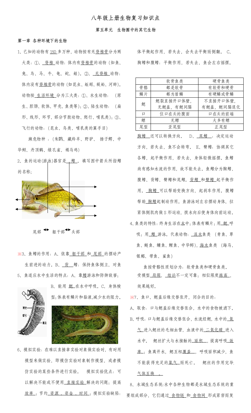 2023年八年级上册生物复习知识点