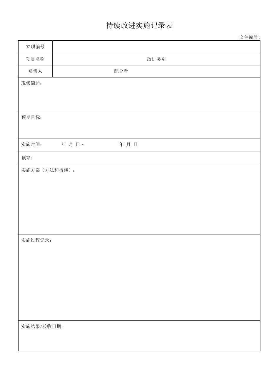 持续改进实施记录表