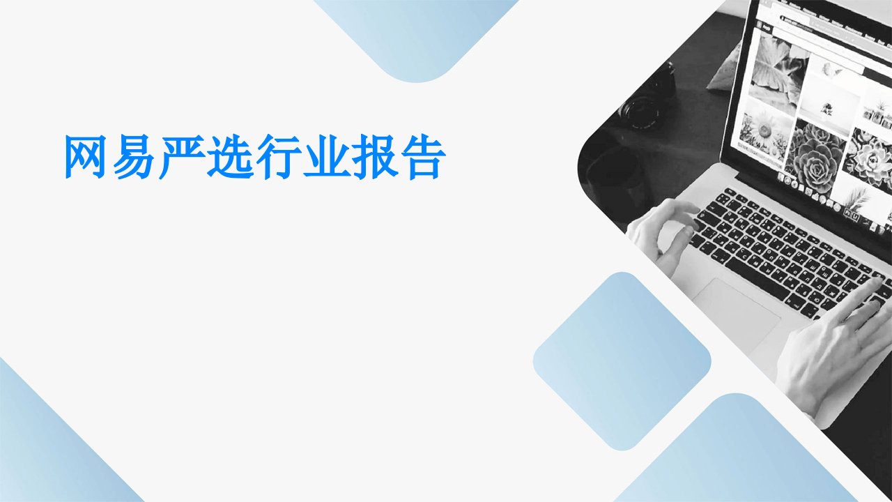 网易严选行业报告