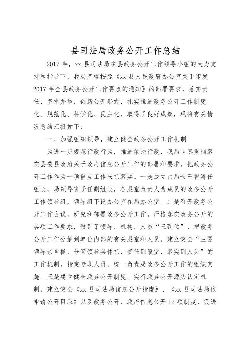 2022县司法局政务公开工作总结