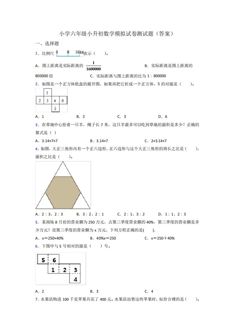 小学六年级小升初数学模拟试卷测试题(答案)